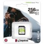 Карта пам'яті Kingston 256GB SDXC class 10 UHS-I U3 Canvas Select Plus (SDS2/256GB)