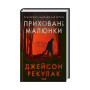 Книга Приховані малюнки - Джейсон Рекулак КСД (9786171298217)