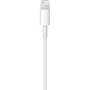 Дата кабель USB 2.0 AM to Lightning 2.0m Apple (MD819ZM/A)