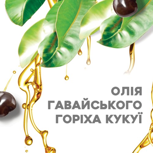 Шампунь OGX Kukui Oil Зволоження та гладкість 385 мл (0022796974211)