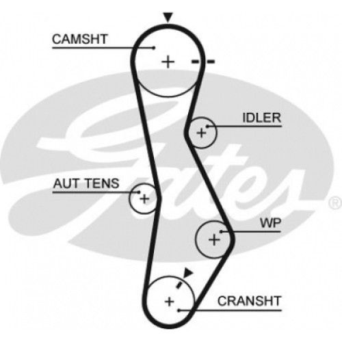 Ремінь ГРМ Gates 5579XS