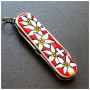 Ніж Victorinox Classic SD Edelweiss (0.6223.840)