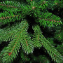 Штучна ялинка Triumph Tree Deluxe Sherwood зелена 1,55 м (8711473288407)