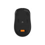 Мишка A4Tech FB10CS Wireless/Bluetooth Stone Black (FB10CS Stone Black)