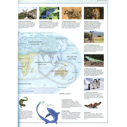 Книга Ілюстрований атлас. Світ тварин Рідна мова (9789669170477)