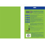 Папір Buromax А4, 80g, INTENSIVE green, 20sh, EUROMAX (BM.2721320E-04)