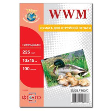 Папір WWM 10x15 (G225.F100)