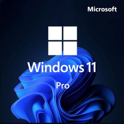 Операційна система Microsoft Win Pro 11 64-bit All Lng PK Lic Online DwnLd NR Конверт (FQC-10572-ESD)