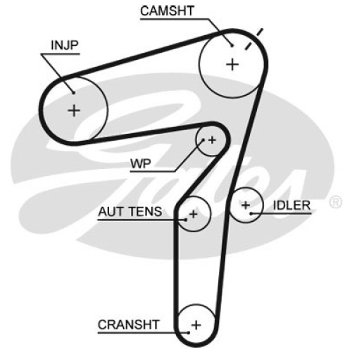 Ремінь ГРМ Gates 5623XS