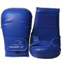 Рукавички для карате PowerPlay 3027 Сині L (PP_3027_L_Blue)