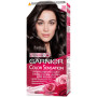 Фарба для волосся Garnier Color Sensation 2.0 Чорний діамант 110 мл (3600541135772)