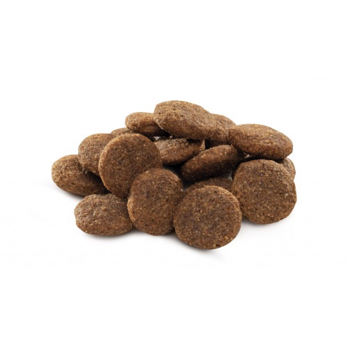 Сухий корм для собак Brit Premium Dog Adult L 8 кг (8595602526451)