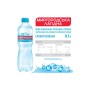 Мінеральна вода Миргородська Лагідна 0.5 сл/газ пет (4820000430982)