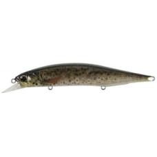 Воблер DUO Realis Jerkbait 120SP Pike 120mm 17.8g CCC3815 Brown Trout N (34.27.86)