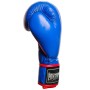 Боксерські рукавички PowerPlay 3018 16oz Blue (PP_3018_16oz_Blue)