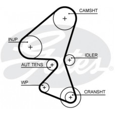 Ремінь ГРМ Gates 5656XS