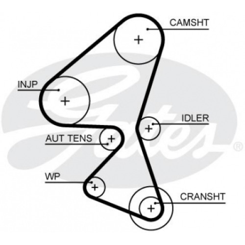 Ремінь ГРМ Gates 5656XS