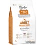 Сухий корм для собак Brit Care Adult Medium Breed Lamb and Rice 3 кг (8595602509935)