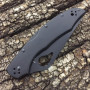 Ніж Spyderco Byrd Cara Cara 2 Black, полусеррейтор (BY03BKPS2)