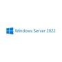 ПЗ для сервера Microsoft Windows Server 2022 External Connector Commercial Perpetual (DG7GMGF0D515_0001)