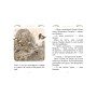 Книга Мадікен. Частина 3 - Астрід Ліндґрен Рідна мова (9789669171450)