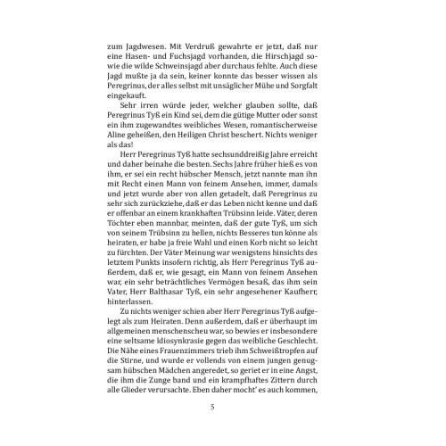 Книга Meister Floh - Ernst Theodor Amadeus Hoffmann Фоліо (9789660394315)