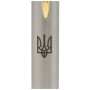 Ручка кулькова Parker IM 17 UKRAINE Brushed Metal GT BP Тризуб (22232_TR)