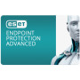 Антивірус Eset PROTECT Advanced з локал. управл. 48 ПК на 1year Business (EPAL_48_1_B)