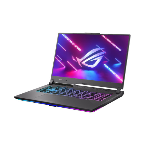 Ноутбук ASUS ROG Strix G17 G713PI-LL028 (90NR0GG4-M001B0)