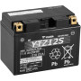 Акумулятор автомобільний Yuasa 12V 11,6Ah High Performance MF VRLA Battery (YTZ12S)