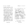 Книга Таємне Королівство. Долина єдинорогів. Книга 2 - Роузі Бенкс Рідна мова (9789669170699)