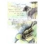 Комікс Безхвоста - Оксана Лущевська, Яна Гавриш Vivat (9789669422354)