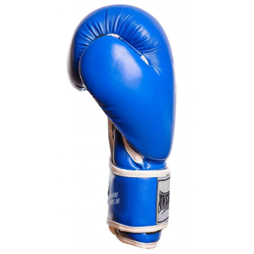 Боксерські рукавички PowerPlay 3019 12oz Blue (PP_3019_12oz_Blue)