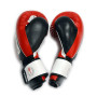Боксерські рукавички Thor Thunder 10oz Red (529/13(Leather) RED 10 oz.)