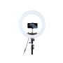 Набір блогера Puluz Ring LED lamp MCP0056 18" + tripod (MCP0056)