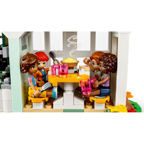 Конструктор LEGO Friends Будиночок Отом 853 деталі (41730)