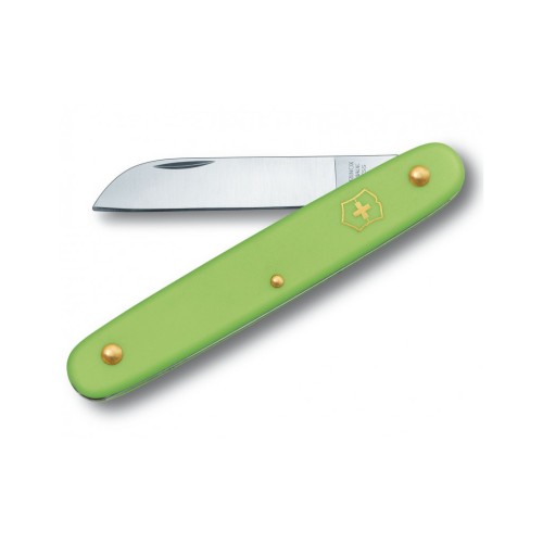 Ніж Victorinox Floral Matt Green Blister (3.9050.47B1)