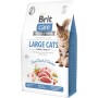 Сухий корм для кішок Brit Care Cat GF Large cats Power and Vitality 2 кг (8595602540914)