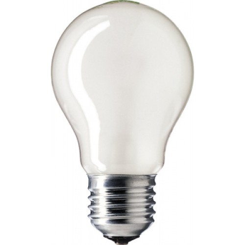 Лампочка Philips Stan 75W E27 230V A55 FR 1CT/12X10F (926000004003)