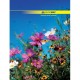 Канцелярські книги Канцелярські книги