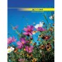 Канцелярські книги