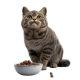 Корми для котів