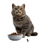 Корми для котів