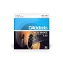 Струни для гітари D'Addario 80/20 Bronze Regular Light 12-String (10-47) (EJ36)