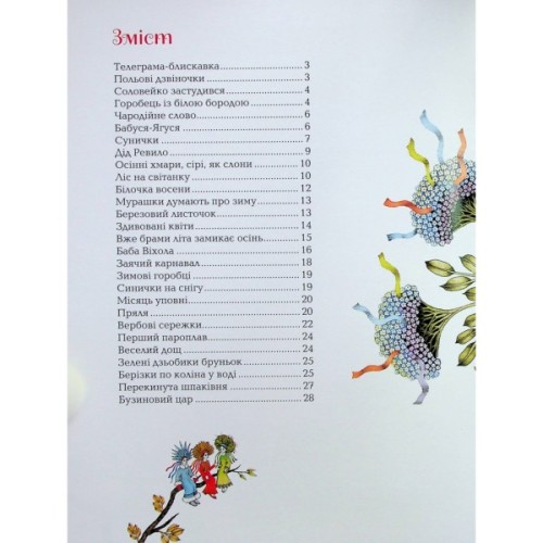 Книга Бузиновий цар - Ліна Костенко А-ба-ба-га-ла-ма-га (9786175853757)