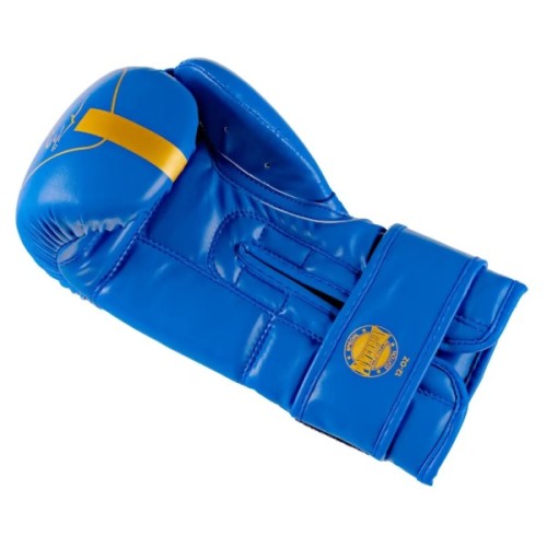 Боксерські рукавички PowerPlay 3089 Alpha Сині 10 унцій (PP_3089_10oz_Blue)