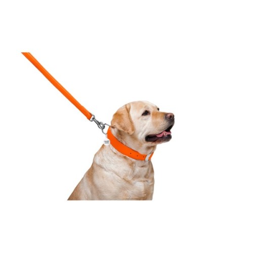 Повідець для собак WAUDOG Glamour шкіряний M-XXL помаранчевий (33764)