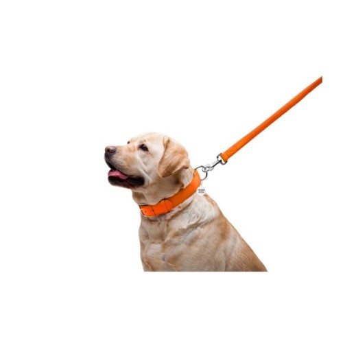 Повідець для собак WAUDOG Glamour шкіряний M-XXL помаранчевий (33764)
