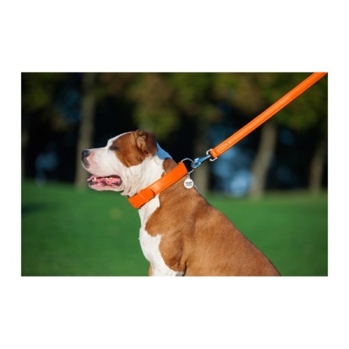 Повідець для собак WAUDOG Glamour шкіряний M-XXL помаранчевий (33764)