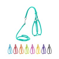 Шлея для собак WAUDOG Glamour кругла, з повідцем XXS ментолова (340113)